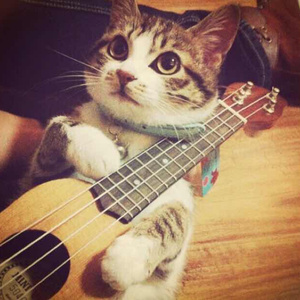 亚洲高清无码三级片全集
